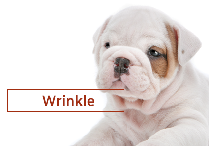 Skin Treatment Multiplayer wrinkle