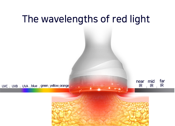 610nm LED Therapy